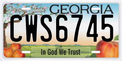 GA license plate CWS6745