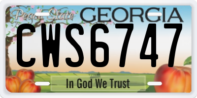 GA license plate CWS6747