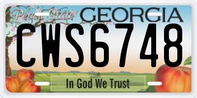 GA license plate CWS6748