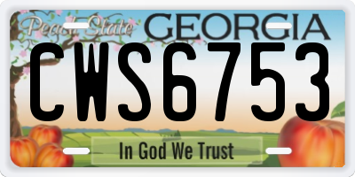 GA license plate CWS6753