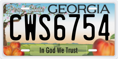 GA license plate CWS6754