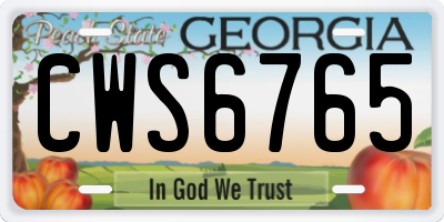 GA license plate CWS6765