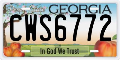 GA license plate CWS6772