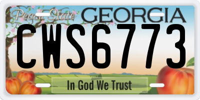 GA license plate CWS6773