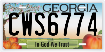 GA license plate CWS6774