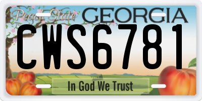 GA license plate CWS6781