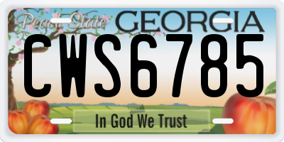 GA license plate CWS6785