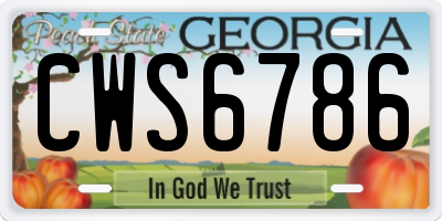 GA license plate CWS6786