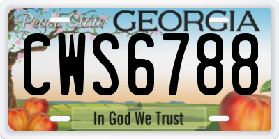 GA license plate CWS6788