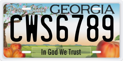 GA license plate CWS6789