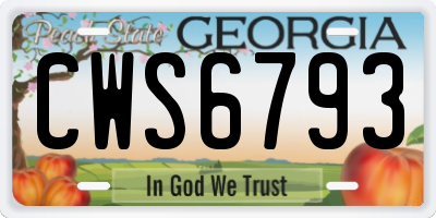 GA license plate CWS6793