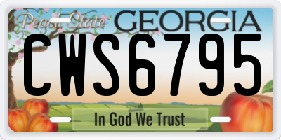 GA license plate CWS6795