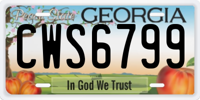 GA license plate CWS6799