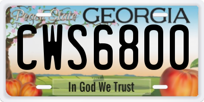 GA license plate CWS6800