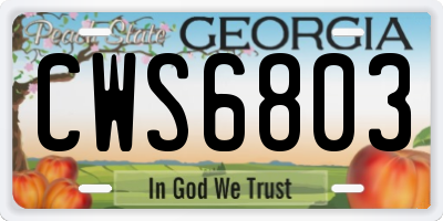 GA license plate CWS6803