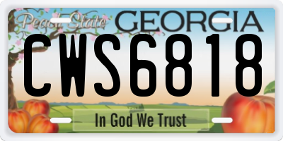 GA license plate CWS6818
