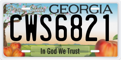 GA license plate CWS6821