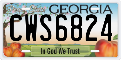 GA license plate CWS6824