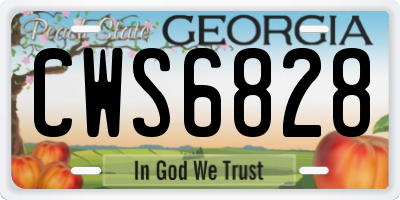 GA license plate CWS6828