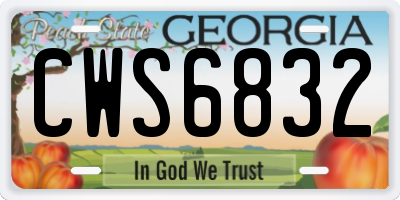 GA license plate CWS6832