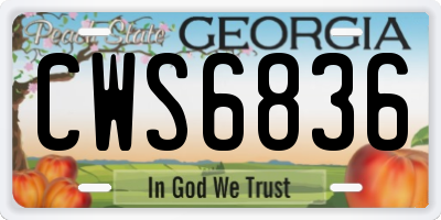 GA license plate CWS6836
