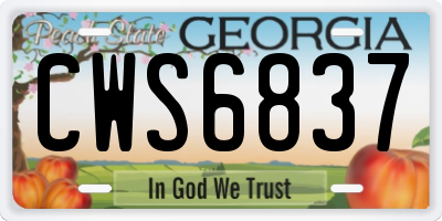 GA license plate CWS6837