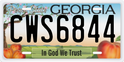 GA license plate CWS6844