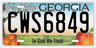 GA license plate CWS6849