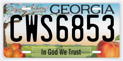 GA license plate CWS6853