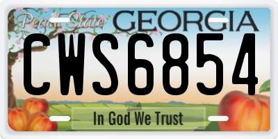 GA license plate CWS6854