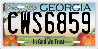 GA license plate CWS6859