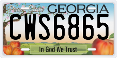 GA license plate CWS6865