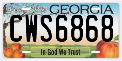 GA license plate CWS6868