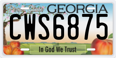 GA license plate CWS6875