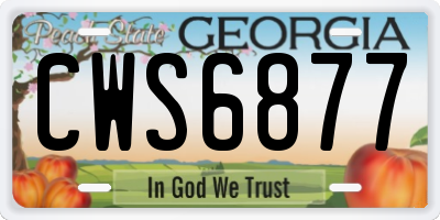 GA license plate CWS6877