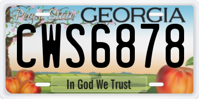 GA license plate CWS6878