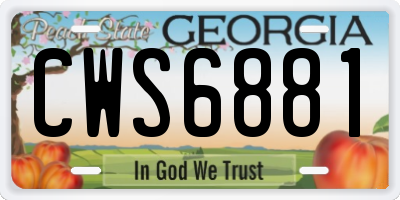 GA license plate CWS6881