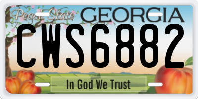 GA license plate CWS6882