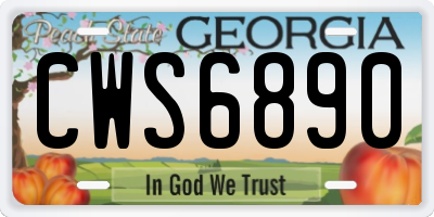 GA license plate CWS6890