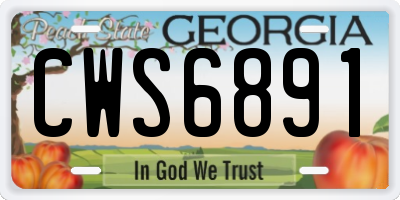 GA license plate CWS6891