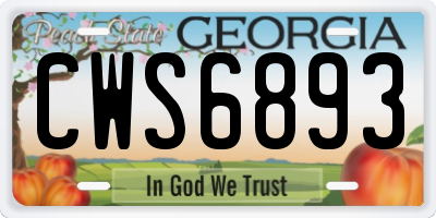 GA license plate CWS6893
