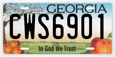 GA license plate CWS6901