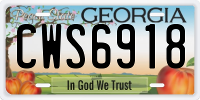 GA license plate CWS6918