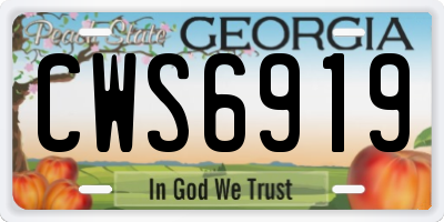 GA license plate CWS6919