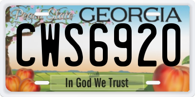 GA license plate CWS6920