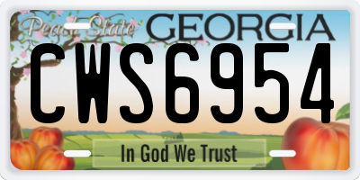 GA license plate CWS6954