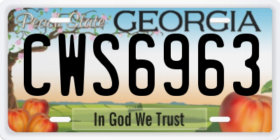 GA license plate CWS6963