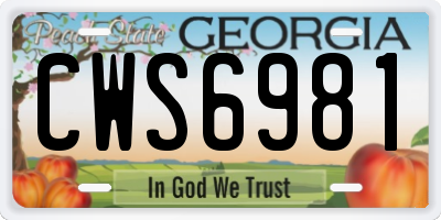 GA license plate CWS6981
