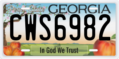 GA license plate CWS6982