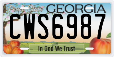 GA license plate CWS6987
